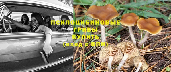 а пвп мука Новозыбков