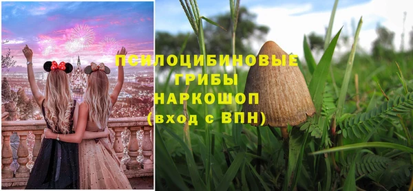 амф Алзамай