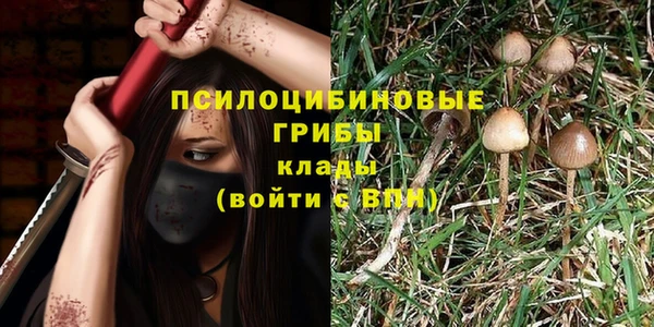 амф Алзамай